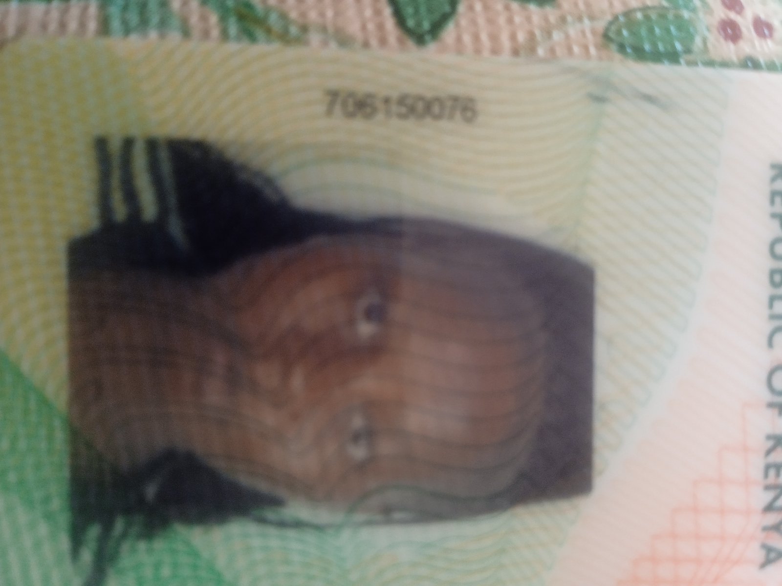 17625873830584499605796754678916